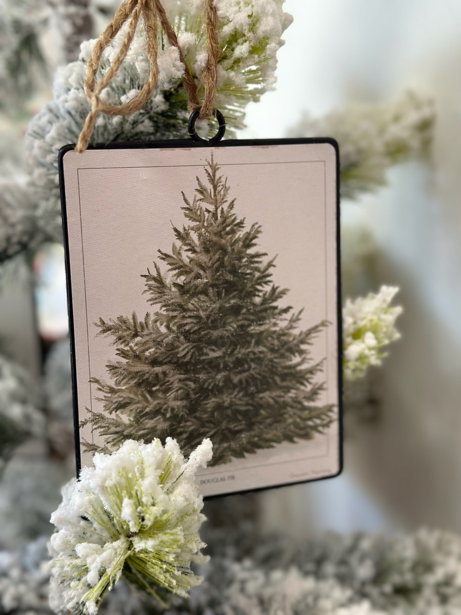 Fir Tree Disc Ornament - B3 Boutique, LLC
