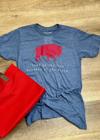 Land of the Free tee - B3 Boutique, LLC