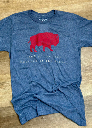 Land of the Free tee - B3 Boutique, LLC